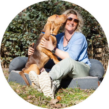 k9 suchhungde alexandra grunow