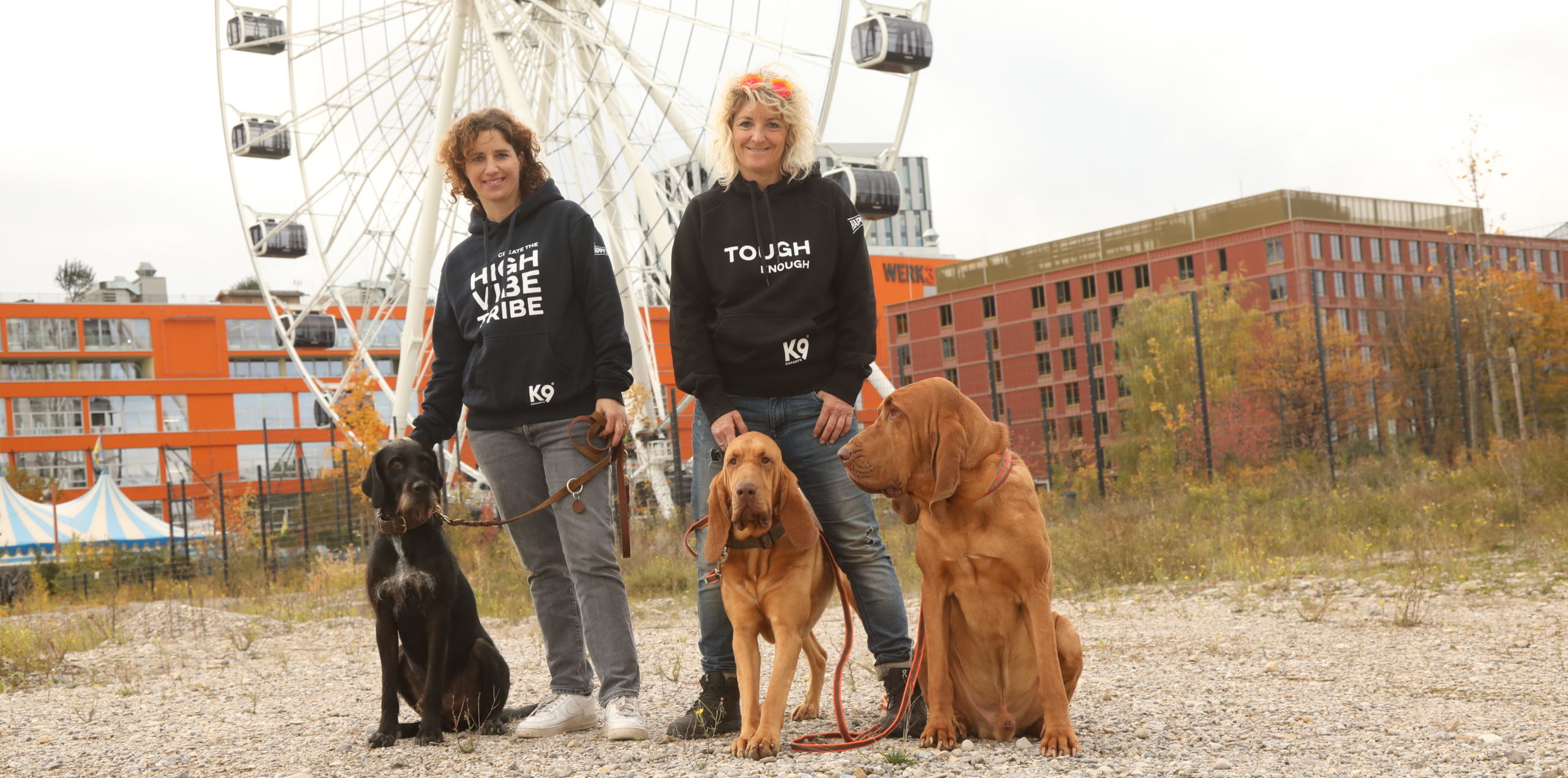 IMG 0158 scaled e1713187842582