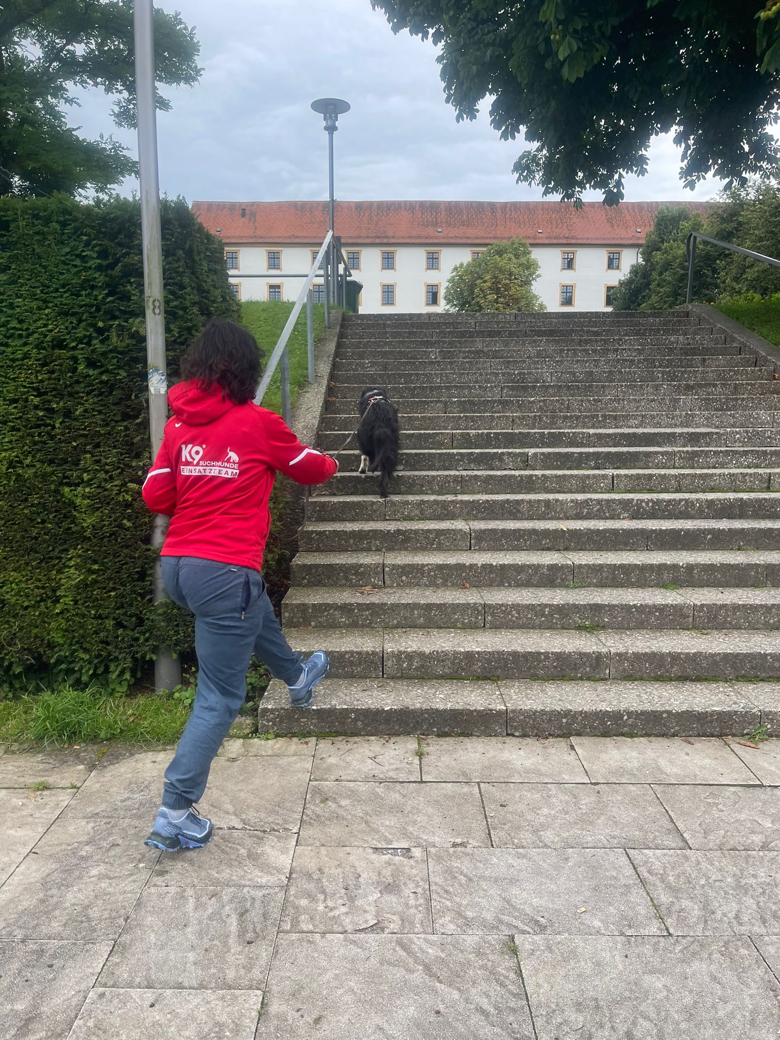 4ee2b819 f7c7 402e a3ab 61c6c8c18c97