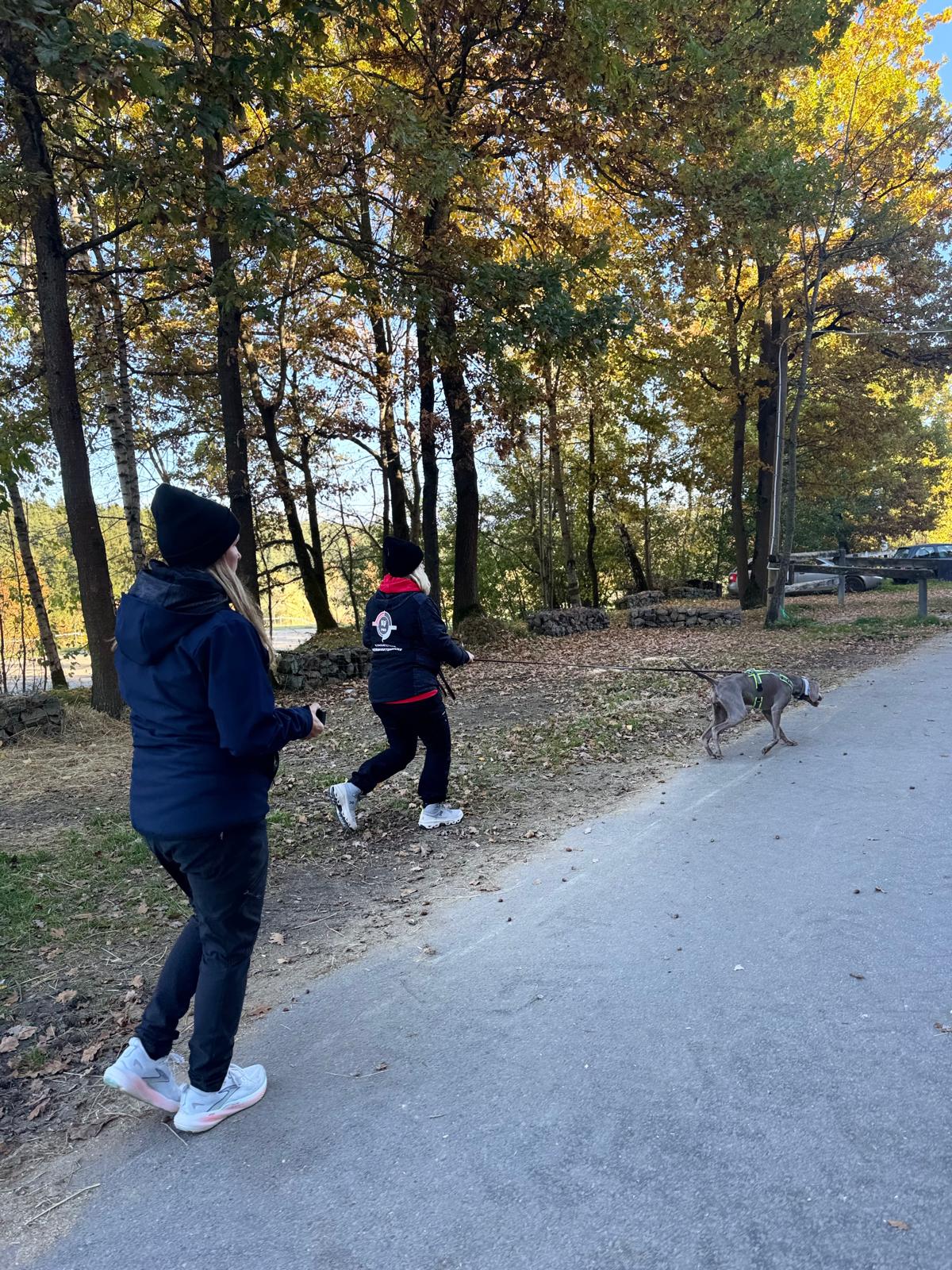 776ab302 086a 4350 b54e 4f0d4016d076