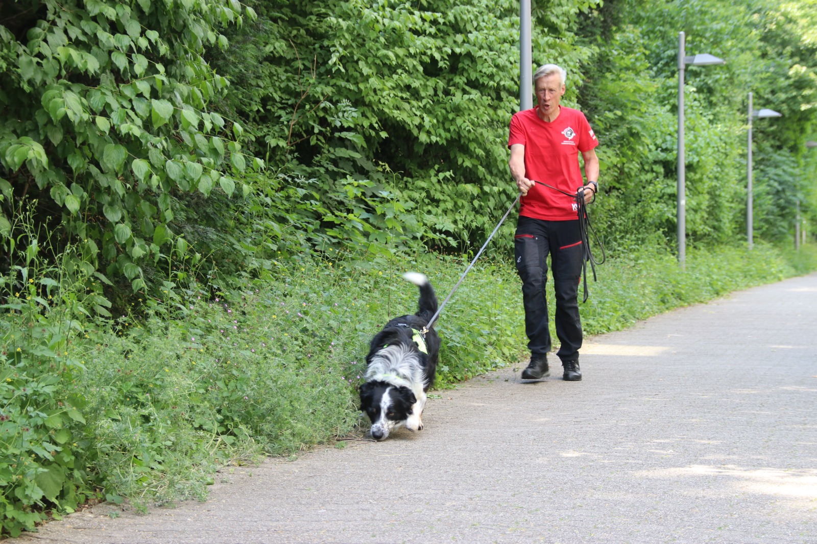 f900c3f6 a3a6 4139 976f 146e28aee6c5