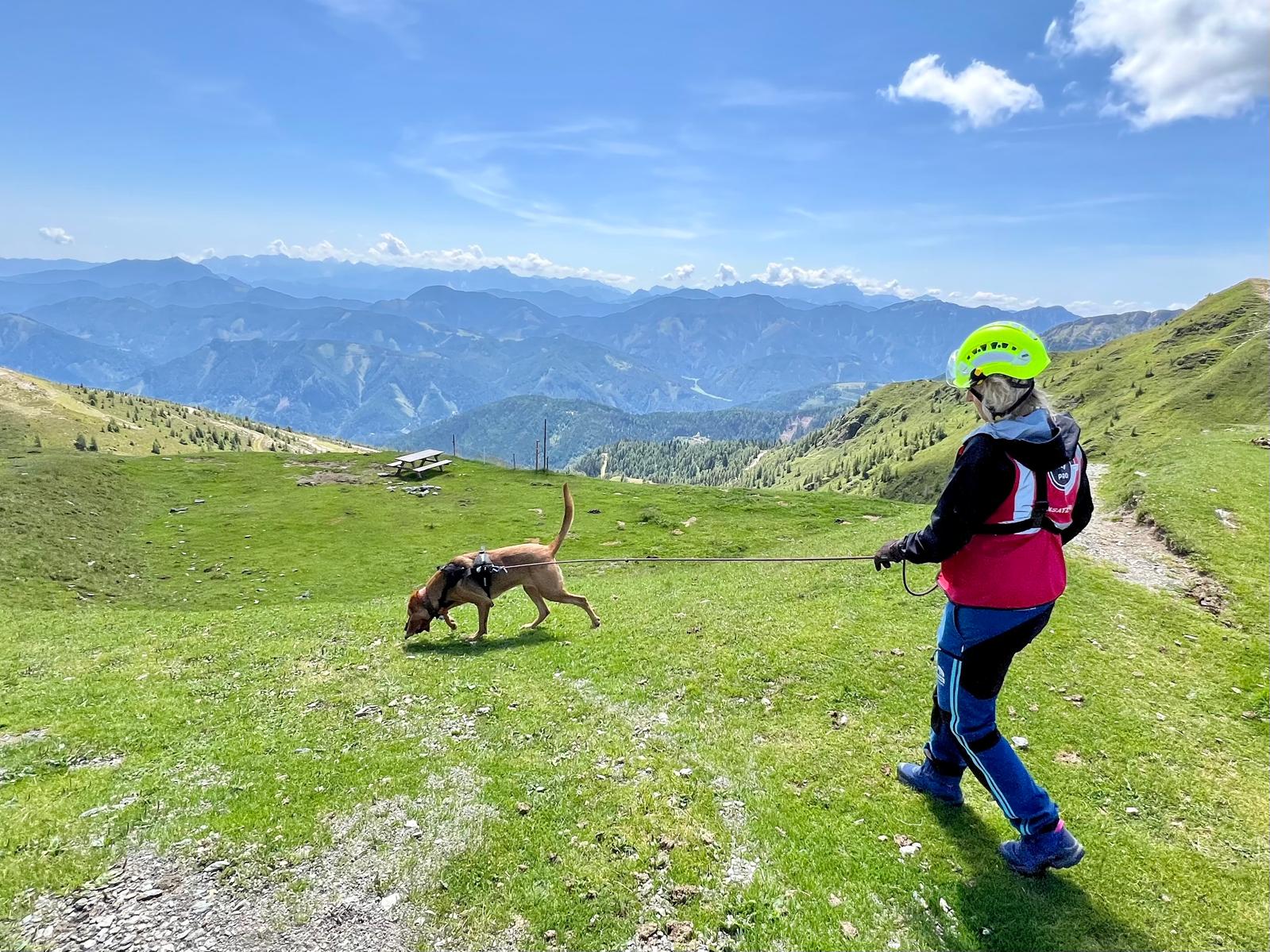 bf983aa7 19f7 4e7d bbe9 95ecaf7309ae