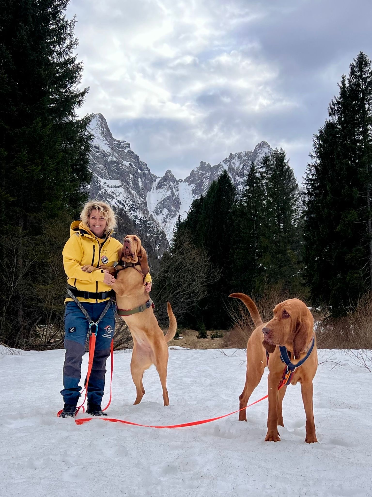 1C4536B6 C6E2 44B5 9A3D 0214A6934F05