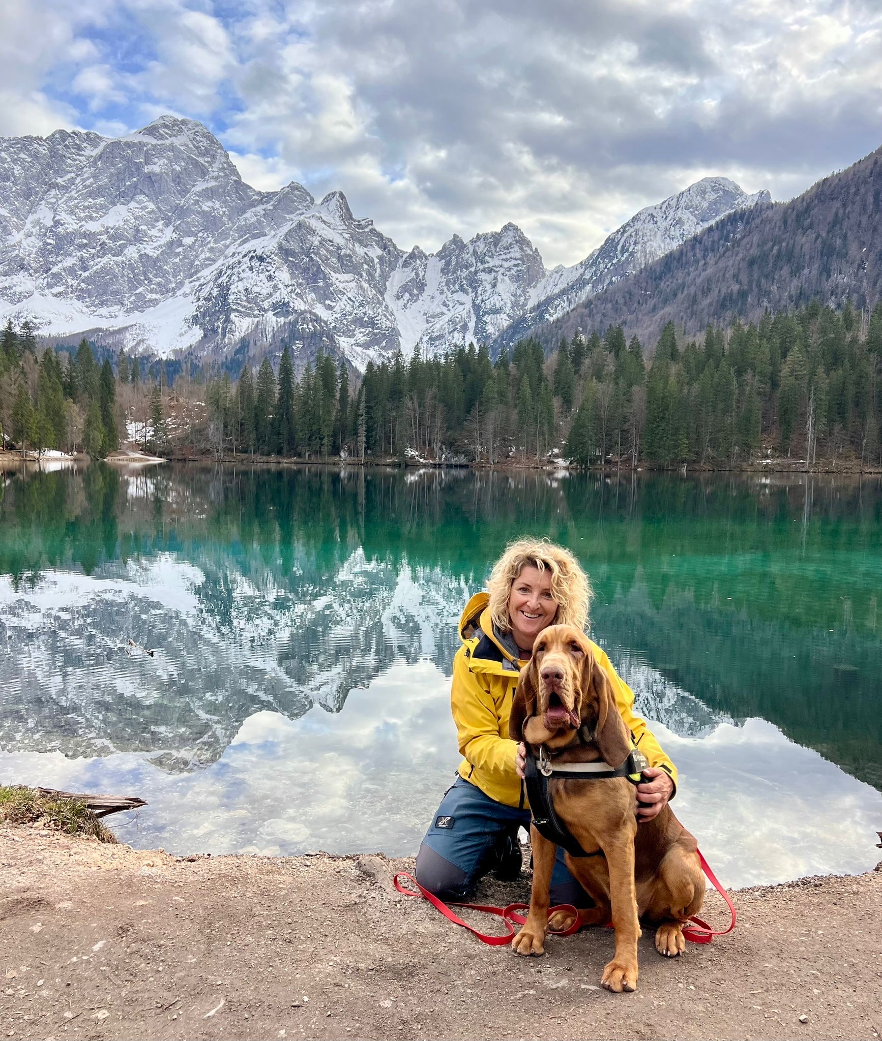 6C1137CE 4C0E 436A 91D2 79AC1BC2F30D